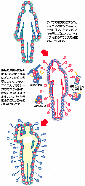 生体バランス