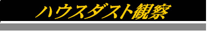 ハウスダスト観察