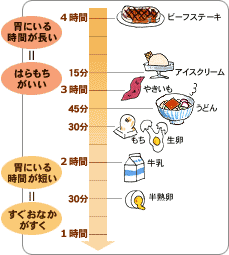 食物が胃の中にとどまっている時間