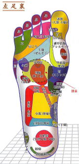 左足裏のツボ