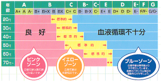 血管年齢評価表