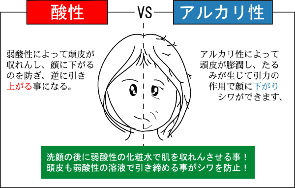 食べ物 アルカリ性 の