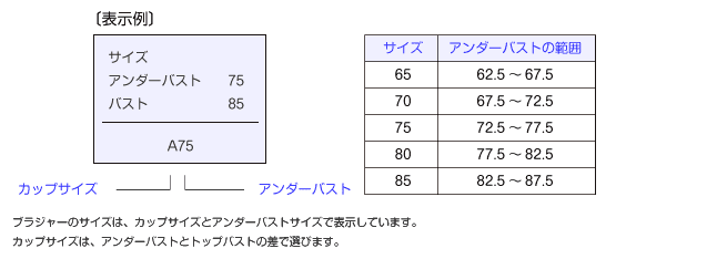 表示例