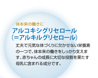 体本来の働きに アルキルグリセロール 丈夫で元気な体づくりに欠かせない栄養素の一つで、体本来の働きをしっかり支えます。母乳に含まれる成分です。
母乳で育った赤ちゃんは元気と言われる由縁はここにあるのかもしれません。