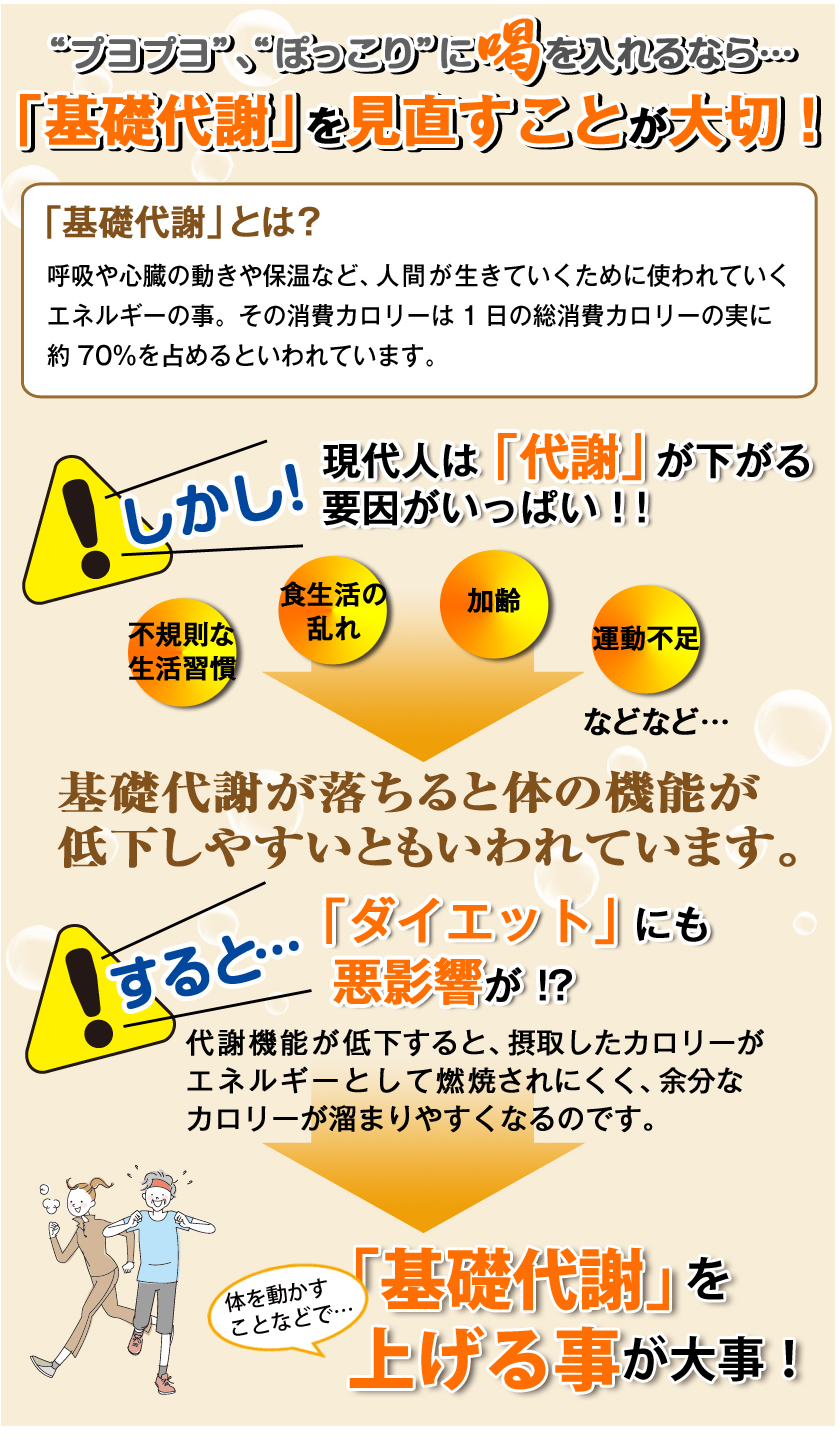 「基礎代謝」を見直す事が大切