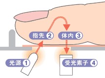 血管年齢測定器の指先