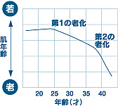 年齢肌グラフ