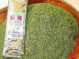 宇治茶　南製茶　ほっこり茶屋