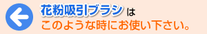 花粉吸引ブラシはこのような時にお使い下さい。