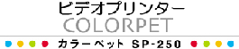 �r�f�I�v�����^�[ �J���[�y�b�g SP-250