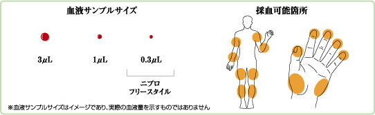 血液サンプルサイズ・採血可能箇所