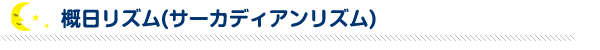 概日リズム（サーカディアンリズム）