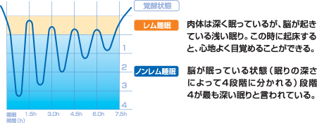 レム睡眠とノンレム睡眠のグラフ