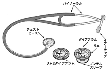 名称イラスト