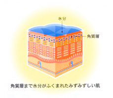 ポータブル水分計はモリテックス