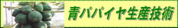 青パパイヤ生産技術