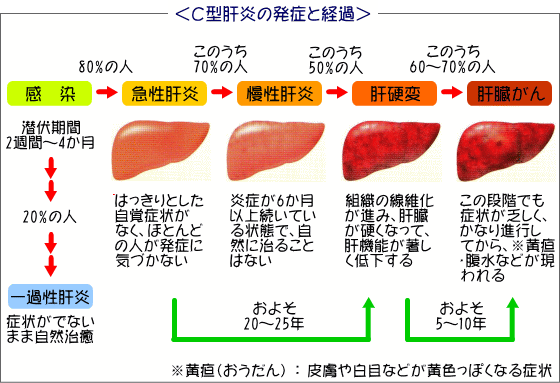 あん 肝 体 に 悪い