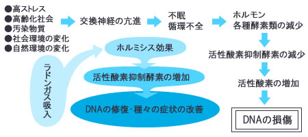 ホルミシス療法