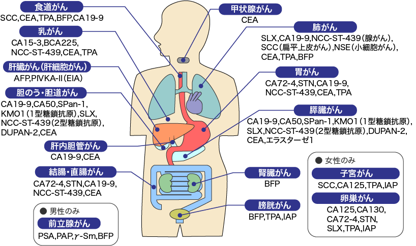 癌の放射線治療とは 新横浜かとうクリニック