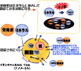 ナノ化（イオン化）ミネラルの長所