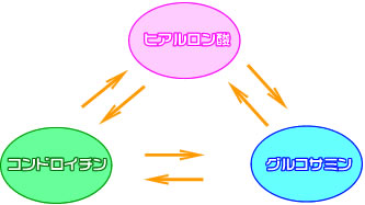 3つの栄養成分のバランス