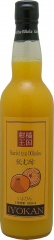 飲む酢　伊予柑（希釈用） 560ml