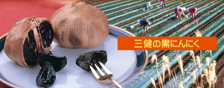 三健食品の黒にんにく  